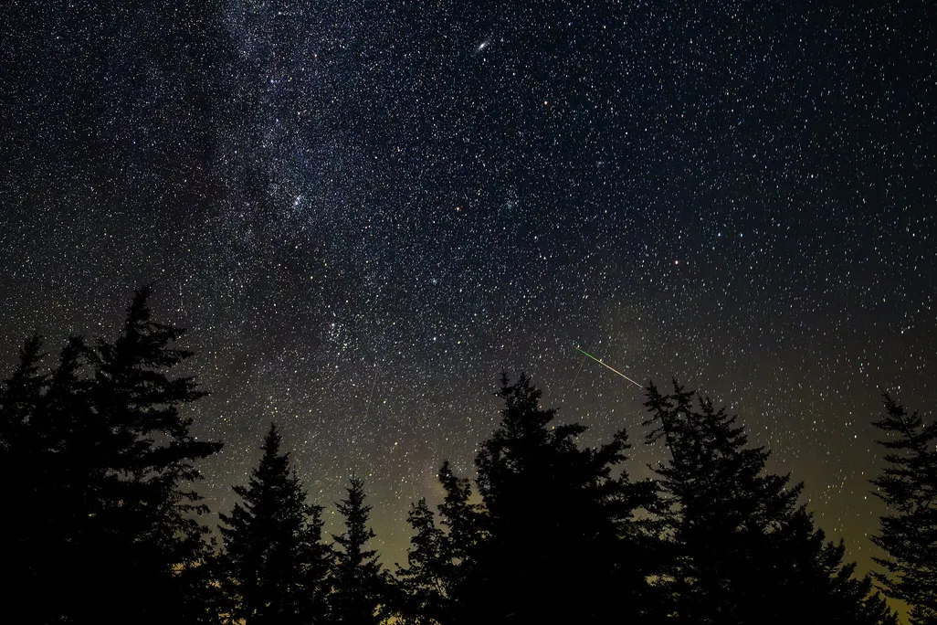 view of the night sky with a shooting star close to the tree line