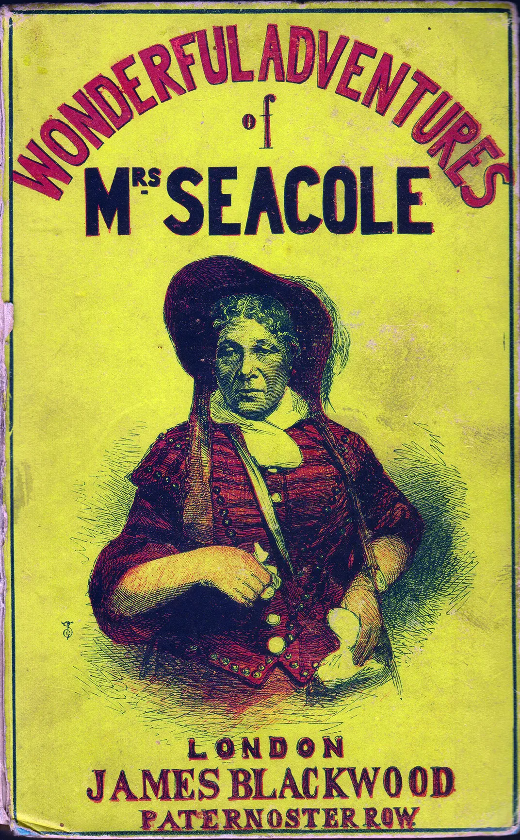 The Wonderful Adventures of Mrs Seacole