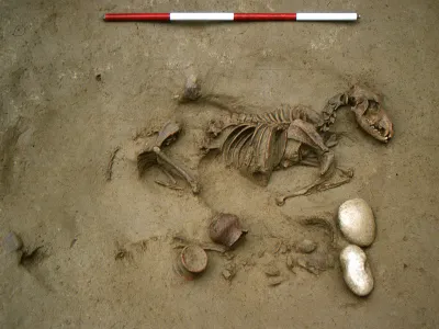 The remains of a dog buried next to a baby