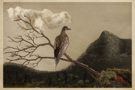 From the Smithsonian National Museum of Natural History