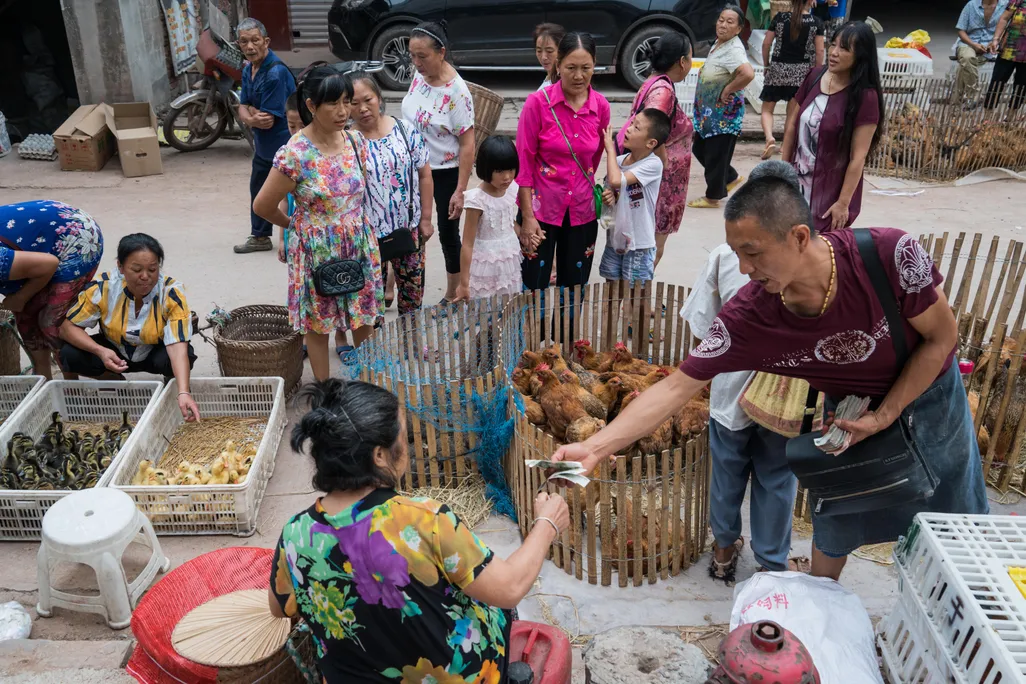 A woman sells live poultry