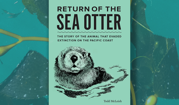 sea otter.png