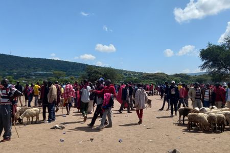 People wander a livestock market near the Masai Mara, chatting and examining the sheep and goats. Photo courtesy of Cindy Obath
