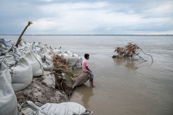 Silent Witness thumbnail