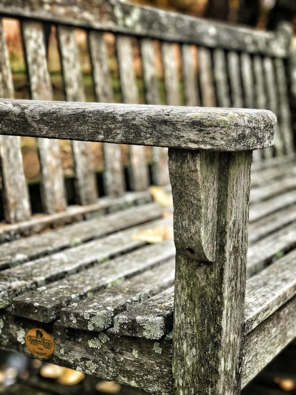 Wooden bench that has heard many stories. thumbnail