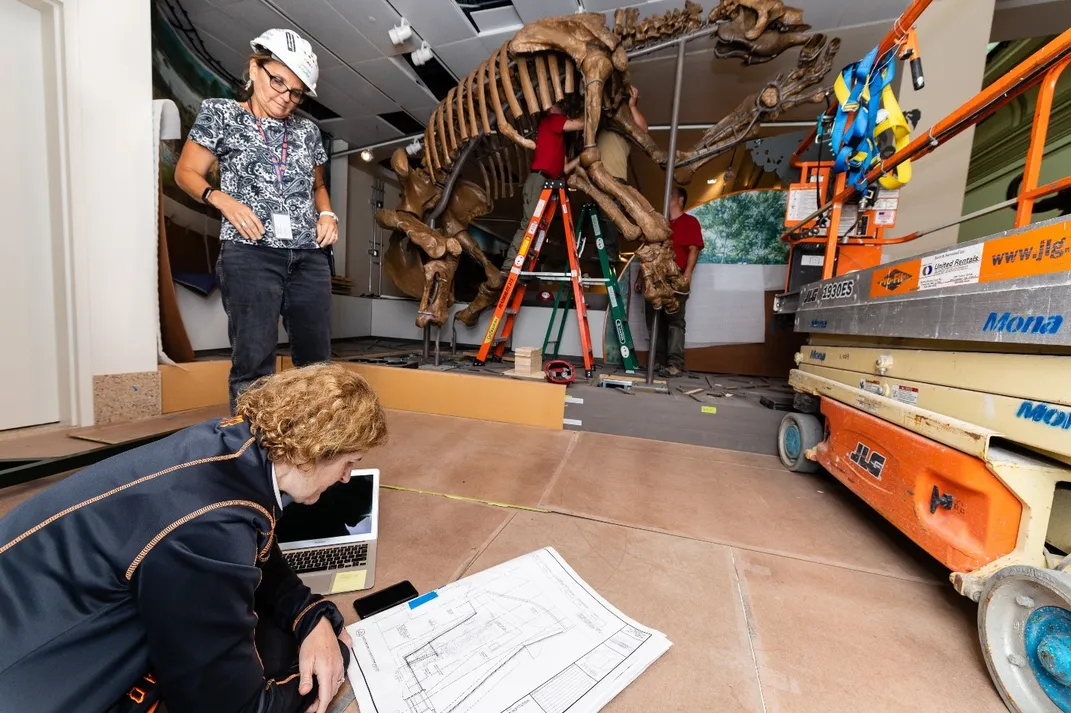 Siobhan Starrs kneeling on the brown floor to examine a white floor plan of the Smithsonian's new "David H. Koch Hall of Fossils - Deep Time"