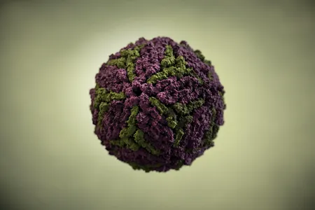 An illustration of the dengue virus, which is transmitted by mosquito bites.