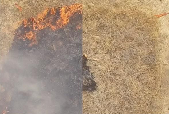 This Gel Could Prevent Wildfires