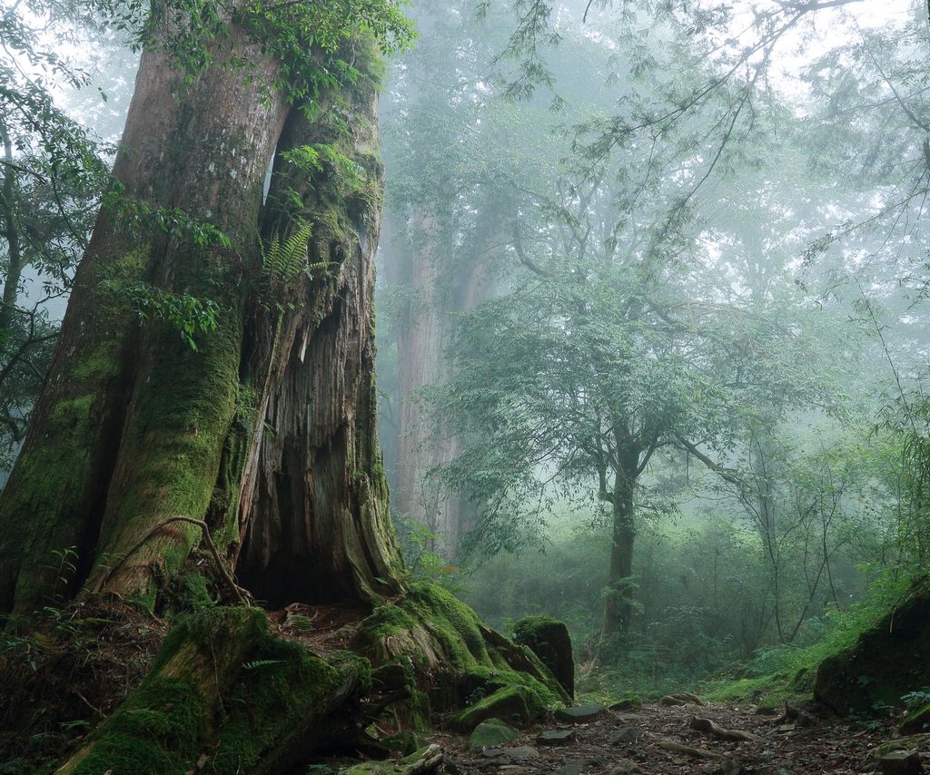 Taiwan's Most Breathtaking Mountain Landscapes