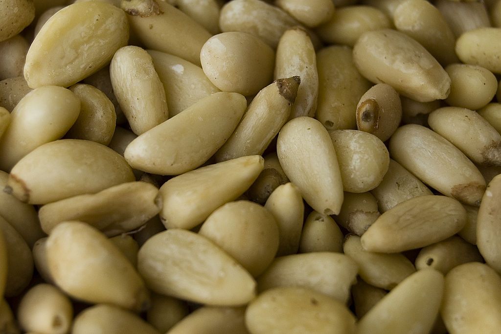1024px-Shelled_pine_nuts.jpg