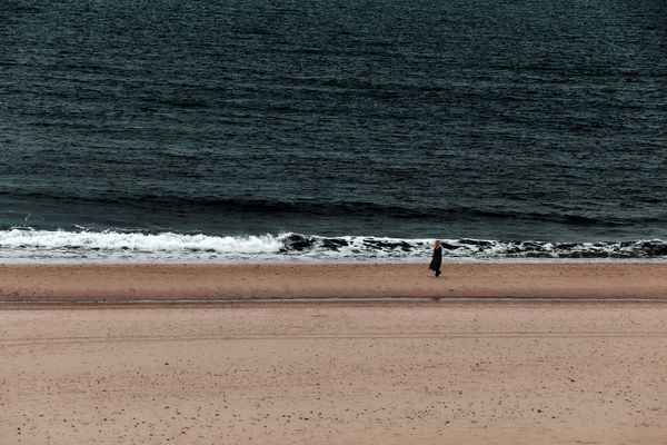 wandering along the beach thumbnail