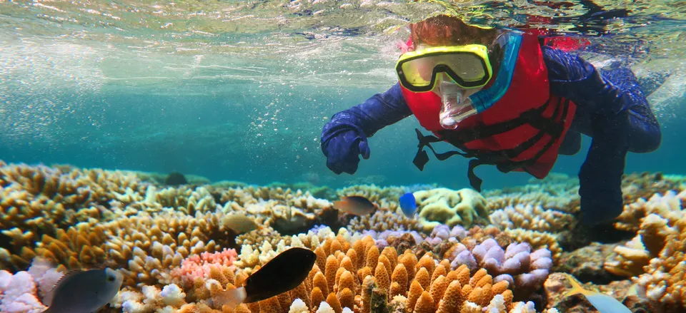  Snorkeling at the Great Barrier Reef 