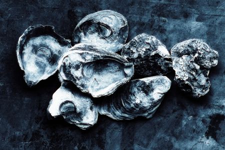Yes, oysters can get herpes.