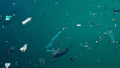 One Liter of Bottled Water May Contain 240,000 Tiny Plastic Fragments