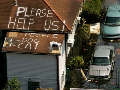 Roofs became pleas for help for people and their pets following Hurricane Katrina