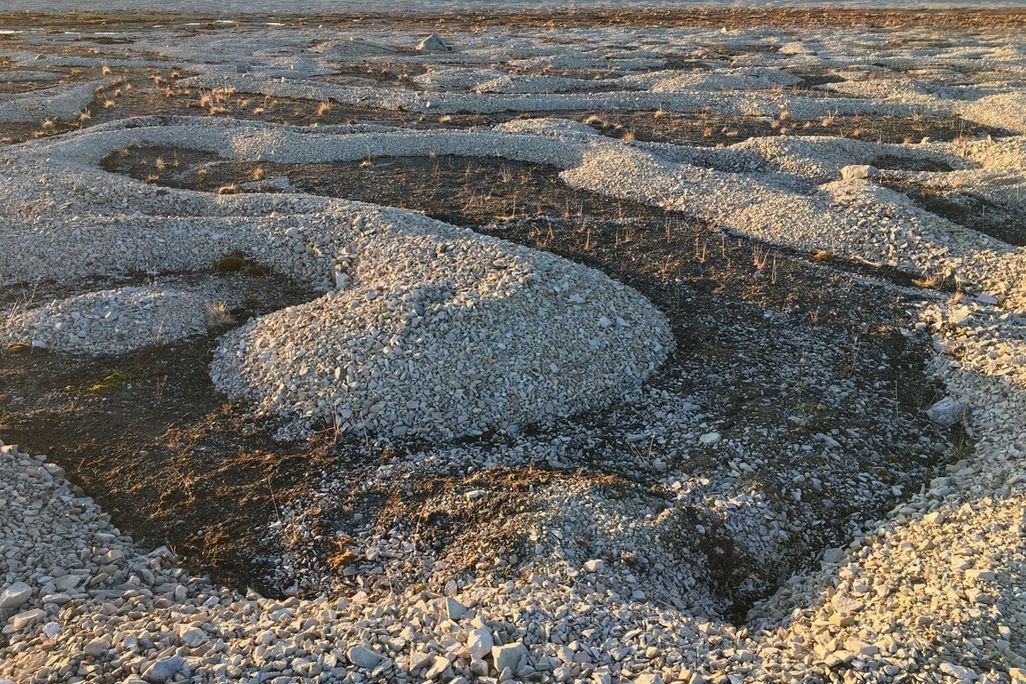 An image of groups of rocks clustered together in organic shapes. They are called labyrinth stones and are found in Svalbard, Norway and form when ice needles freeze and thaw, pushing the stones together.