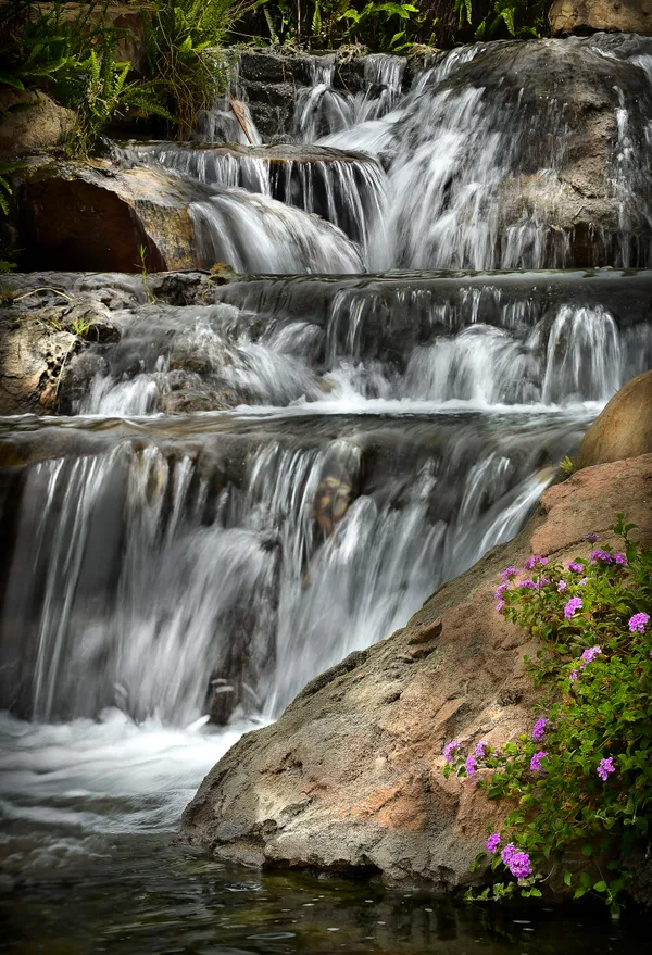  Cascading Waterfall with pink flowers thumbnail