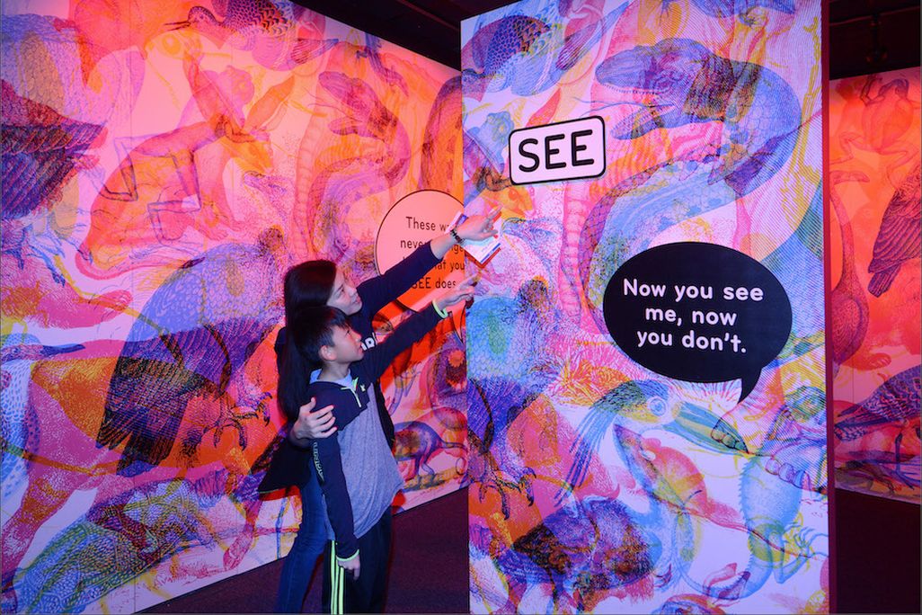 Seeing