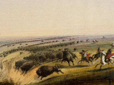 Alfred Jacob Miller's "Buffalo Jump," 1859-1860