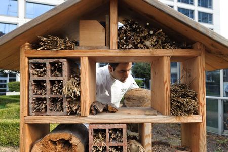 The "Bee and Bee" at the Fairmont Waterfront in Vancouver, Canada is made from materials gathered from urban gardens across the city and woven together with found pieces of ivy, wool, and leaves.
