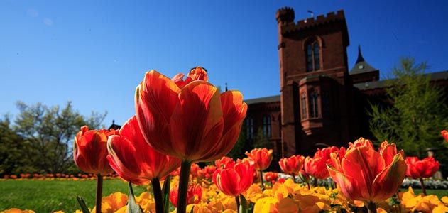 Smithsonian Castle