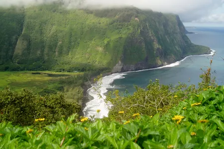 Over the last 30 years, rainfall on Hawai'i's islands has decreased by 18 percent while the number of residents has doubled since the late 1950s, leading to a high demand for an already scarce resource.

