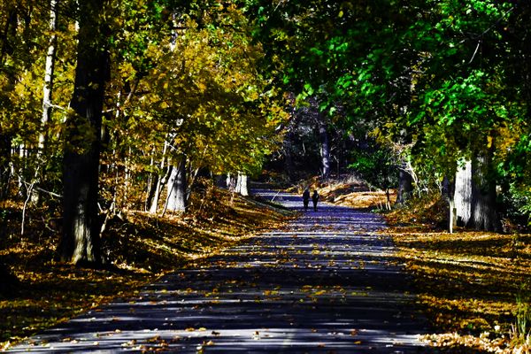 Caumsett State Historic Park Preserve thumbnail