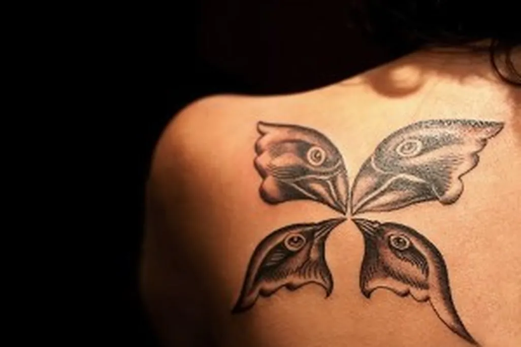 20110520102413Four-finch-tattoo-600-300x230.jpg