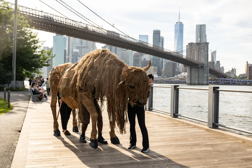 Bison in Brooklyn 2