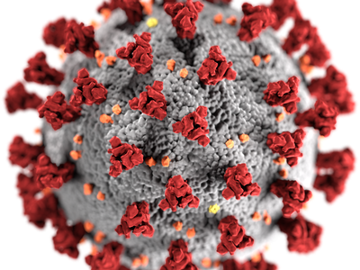 An up-close look at SARS-CoV-2 virus, which causes the COVID-19 disease