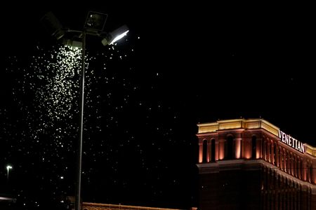 Grasshoppers swarm a street light a few blocks from the Las Vegas Strip on July 26, 2019.