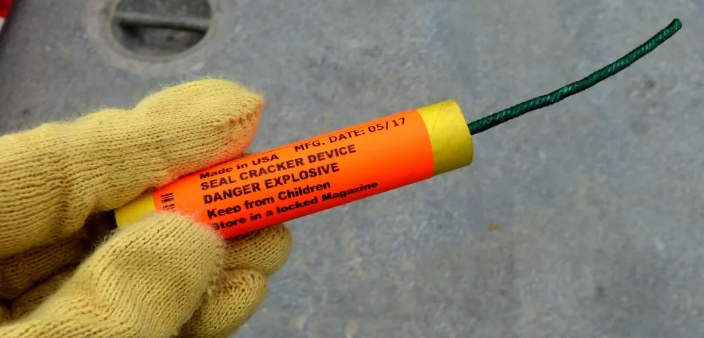 Seal bombs are small explosive devices that fishermen use to scare predators away from their catch.