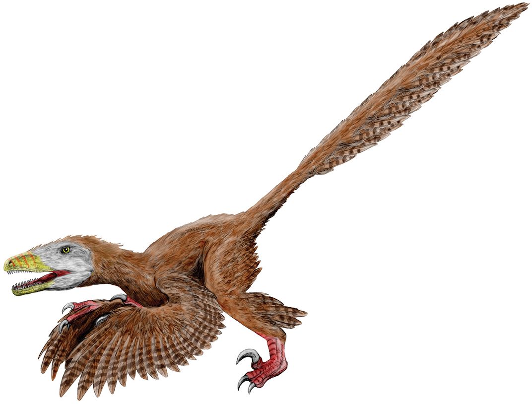Feathered Deinonychus