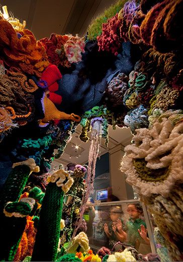 20110520110729coral-reef-crochet1.jpg