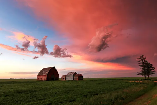 After a prairie storm the setting sun lit up the sky, giving them an amazing pink cotton candy color.