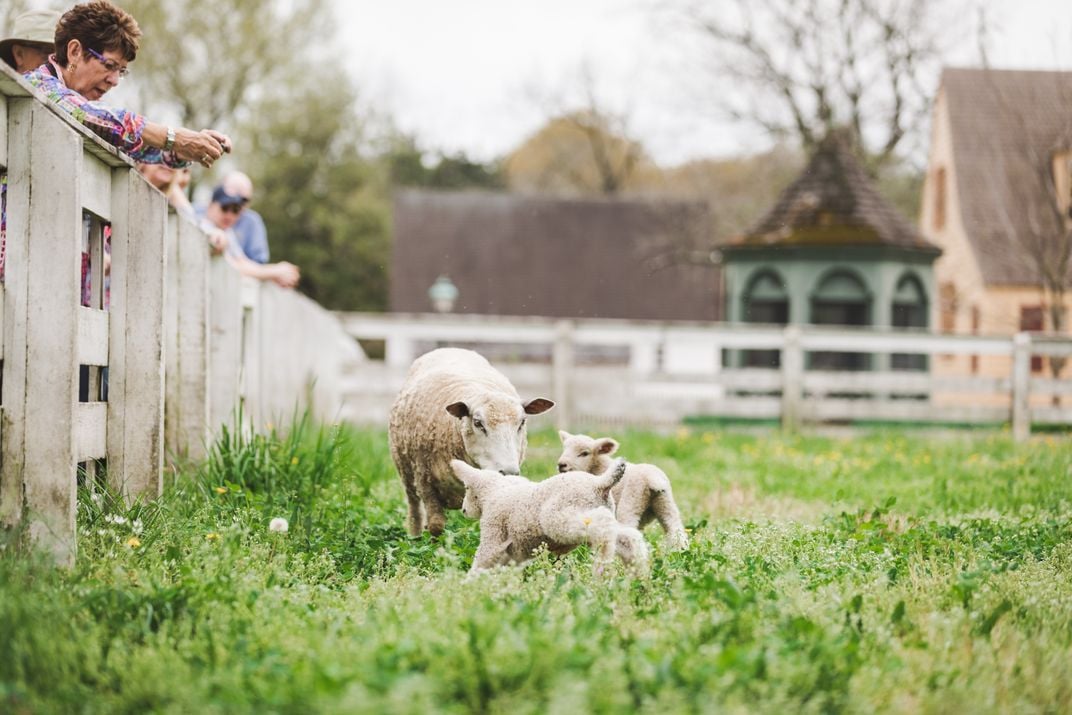 Take in These Stunning Sights in Colonial Williamsburg