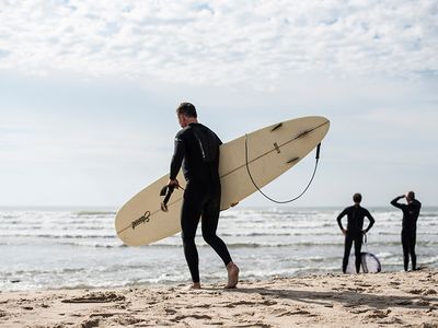 Surfers take to the water in Montauk, where a shark nursery was discovered offshore last summer.