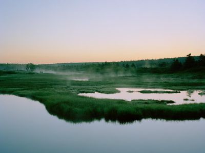 Marsh Ponds; Mavilette, Nova Scotia, 2014