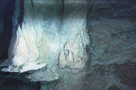 The Lost City hydrothermal field in the mid-Atlantic.