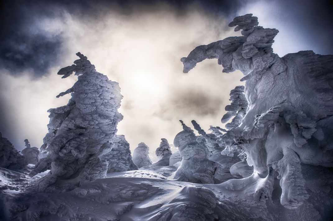 Ice monster Smithsonian Photo Contest Smithsonian Magazine