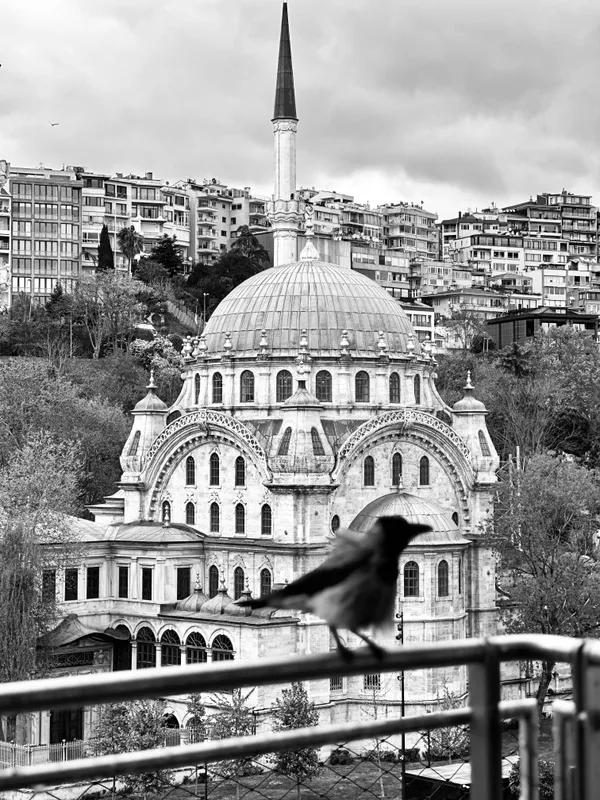 Silent Protector thumbnail