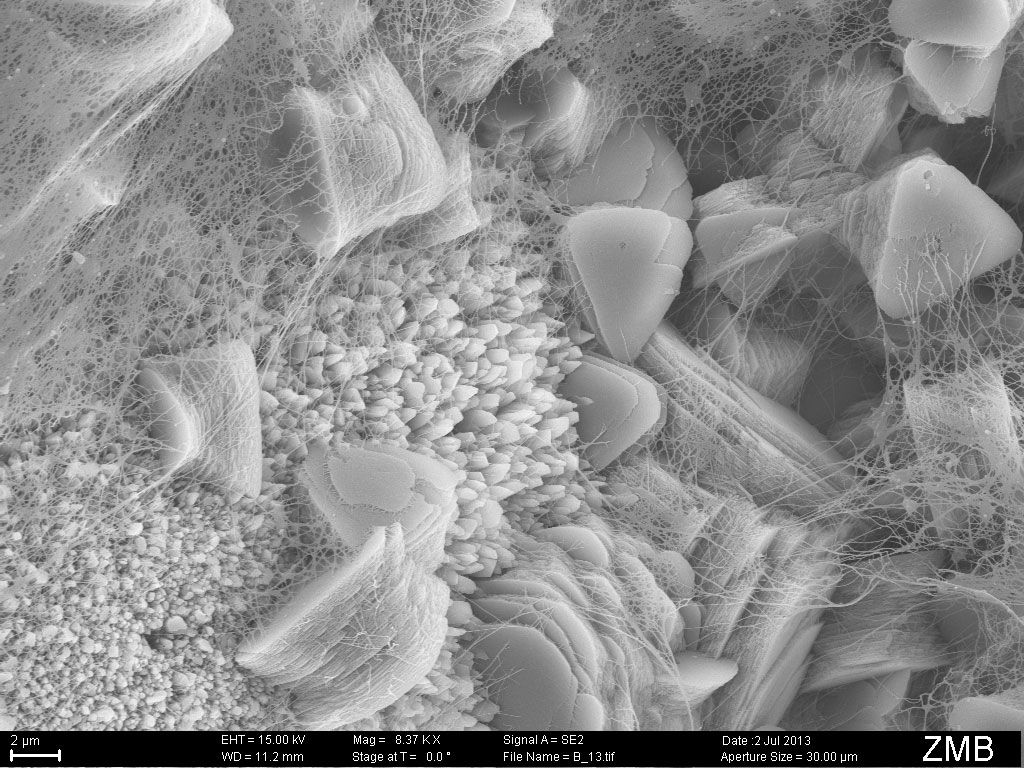 Lost City Chimney SEM