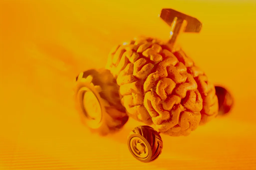 fast brain