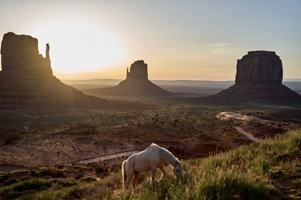 A horse grazing at Monument Valley. thumbnail
