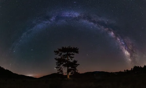 An old tree, Milky Way and planets. thumbnail