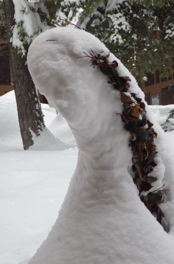 A woman in the snow thumbnail