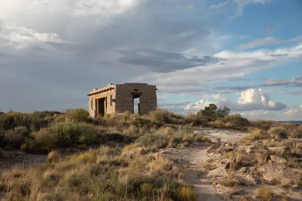 Petrified Forest Center thumbnail