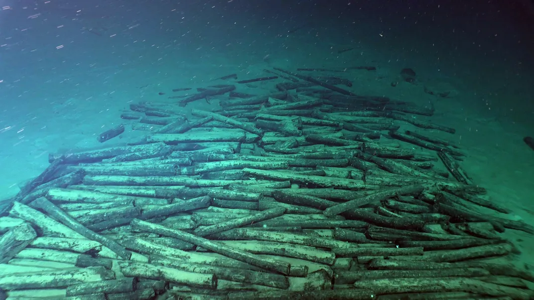 Timber logs from the Hongzhi trader