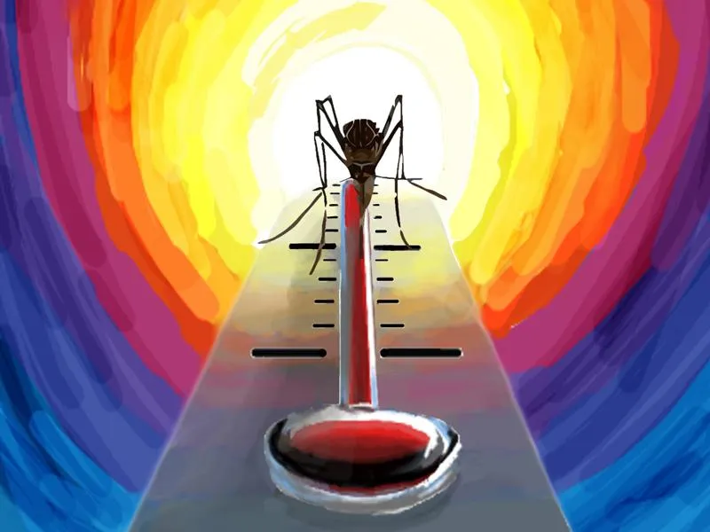 mosquito temperature illustration