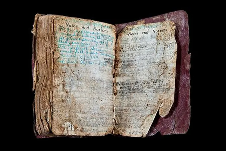 Lorraine Bay's flight log (mobile)
